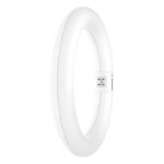Osram Tubo LED T9 Circolare (EM/Mains) 11W 1200lm - 830 Luce Calda | Sostitutiva 22W