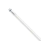 Philips Master Tubo LED T8 (EM/Mains) High Output T8 7.6W 1150lm - 840 Bianco Freddo | 60cm - Sostitutiva 18W
